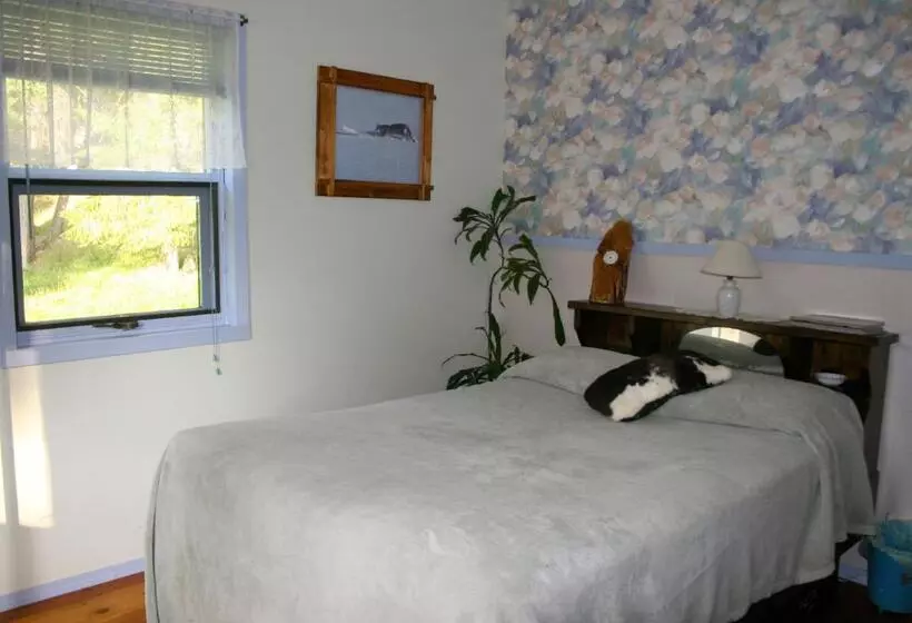 Dunphy's Bed And Breakfast