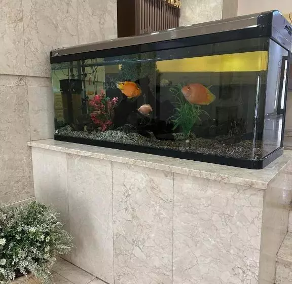 هتل акку