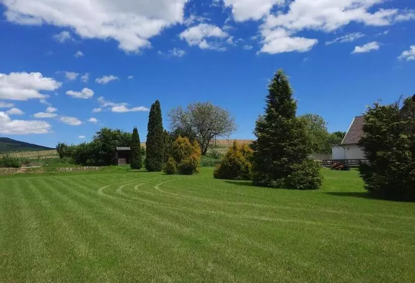 Megálló Wellness Panzió