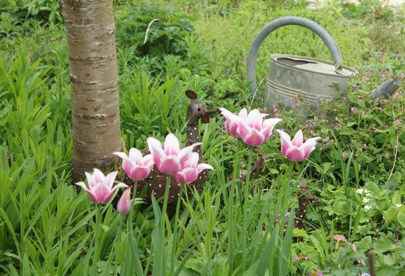 Pension Le Presbytère De Sévigny