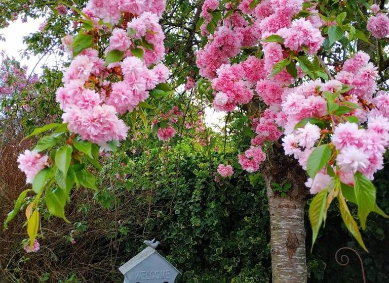 Pension Le Presbytère De Sévigny