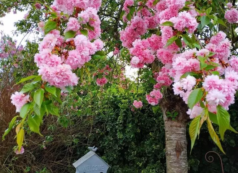 Majatalo Le Presbytère De Sévigny