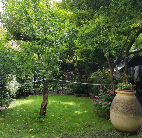 호텔 Albergo Lungomare