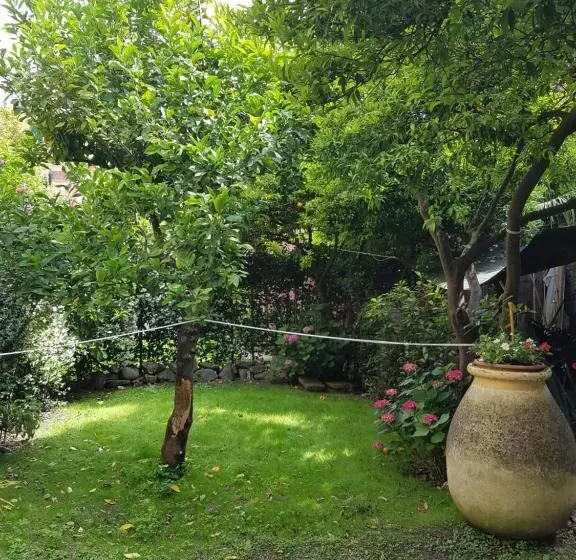 Hotelli Albergo Lungomare