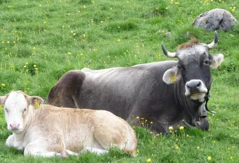 Hotelli Alla Frasca Verde