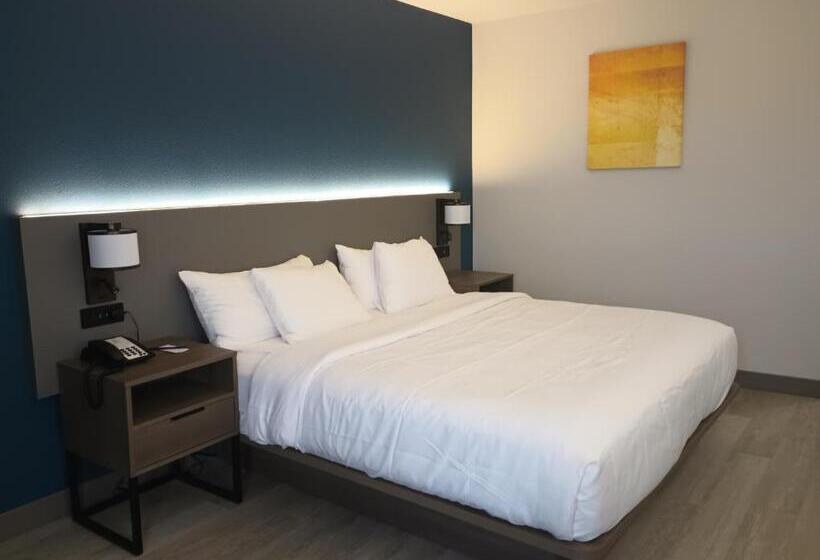 호텔 Rodeway Inn & Suites