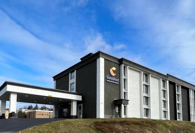 호텔 Rodeway Inn & Suites