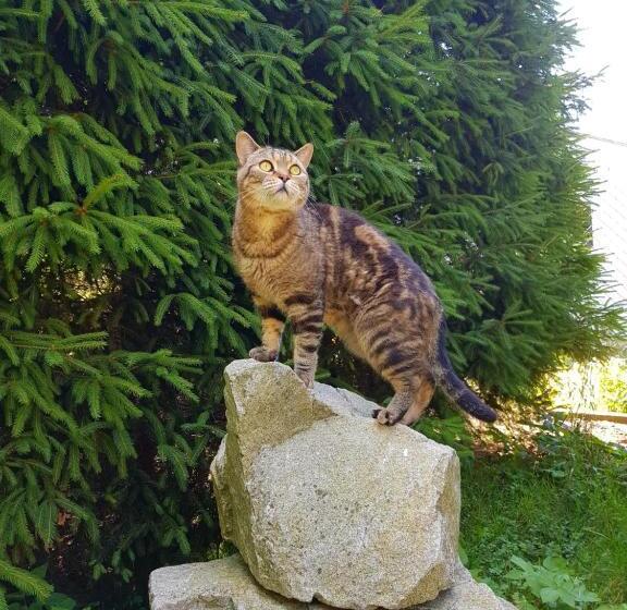 펜션 Penzion Sport