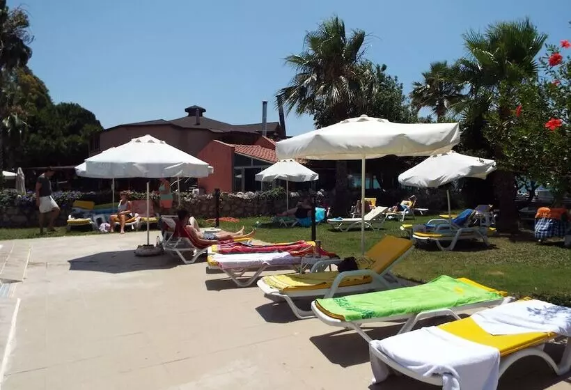 בית מלון כפרי Area