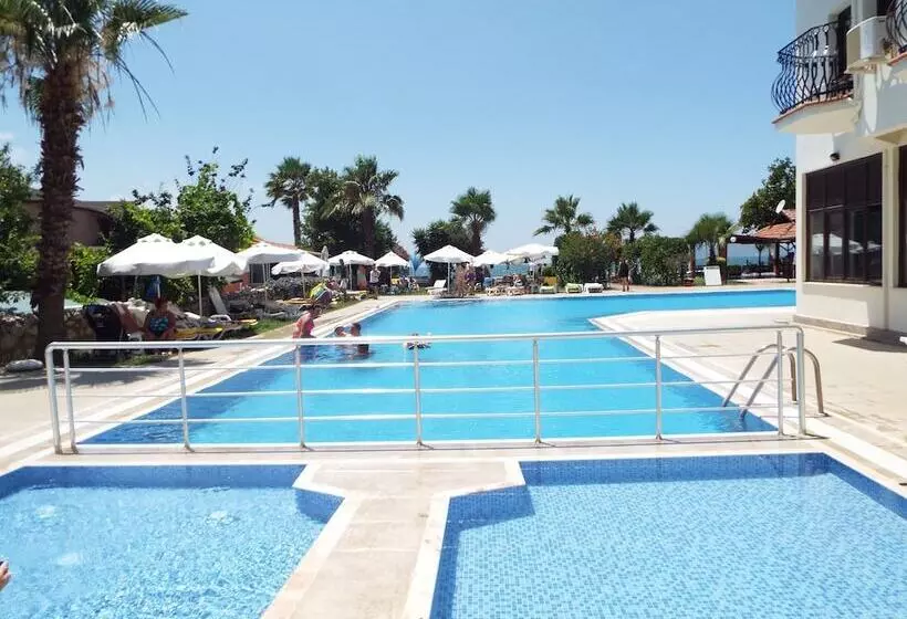 בית מלון כפרי Area