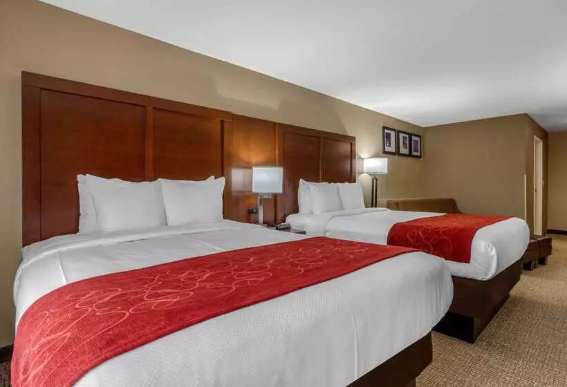 酒店 Comfort Suites Pelham Hoover I 65