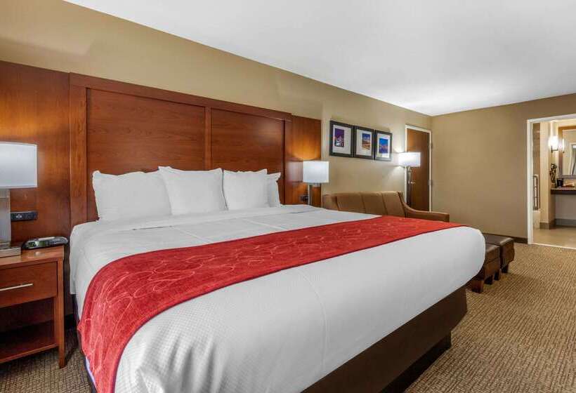 ホテル Comfort Suites Pelham Hoover I 65