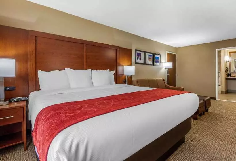 酒店 Comfort Suites Pelham Hoover I 65