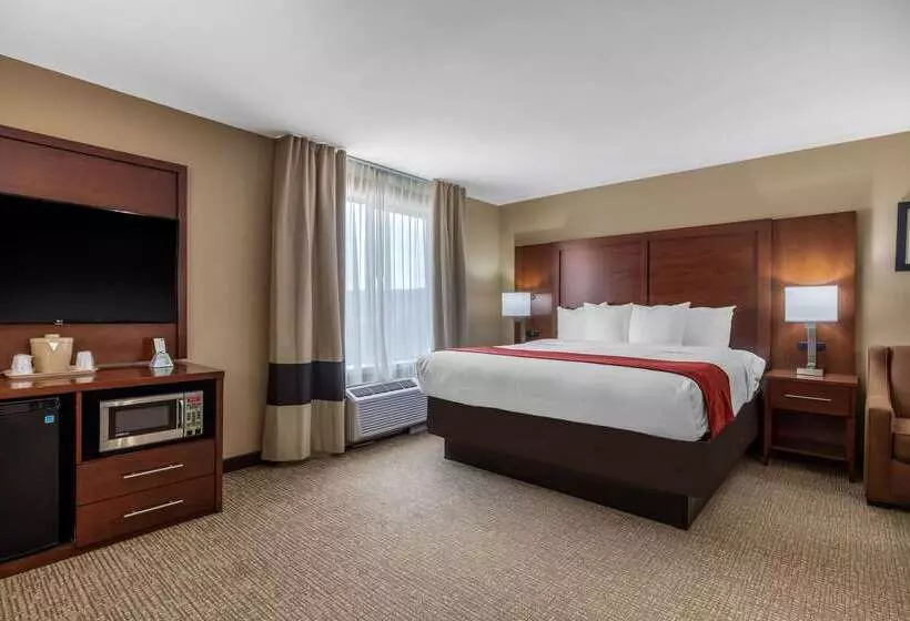 酒店 Comfort Suites Pelham Hoover I 65