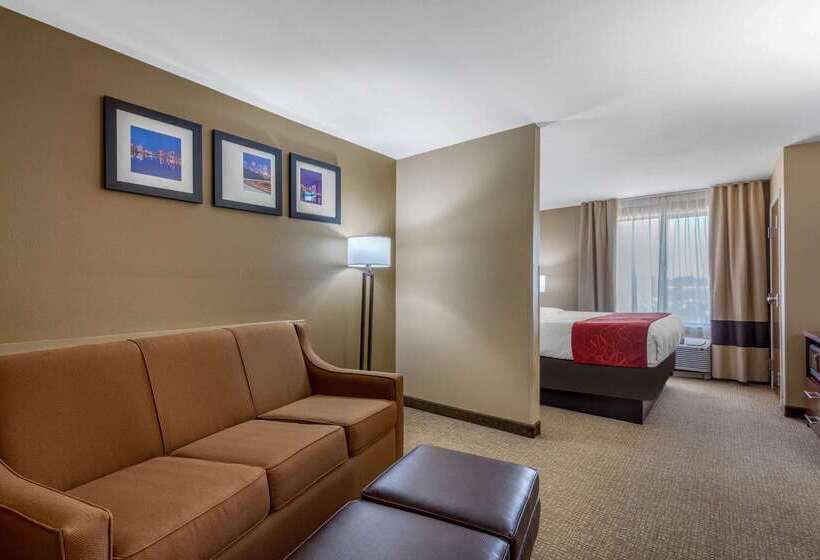 ホテル Comfort Suites Pelham Hoover I 65