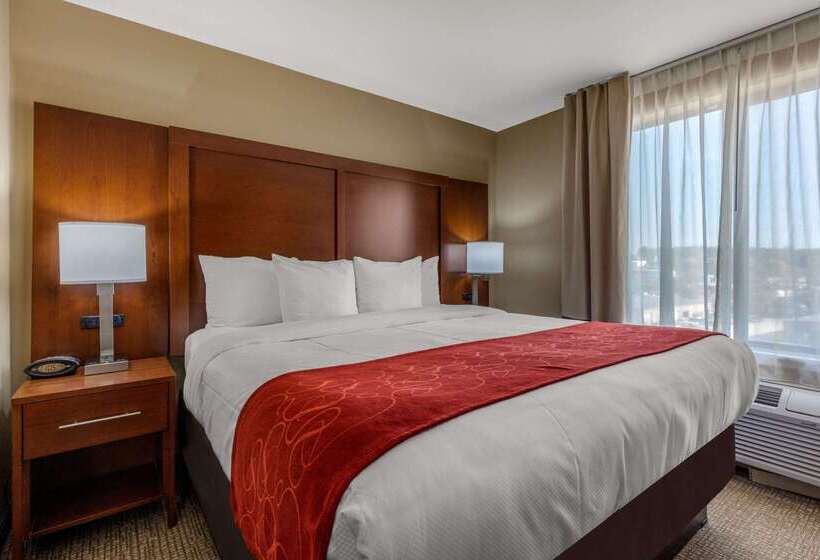 ホテル Comfort Suites Pelham Hoover I 65