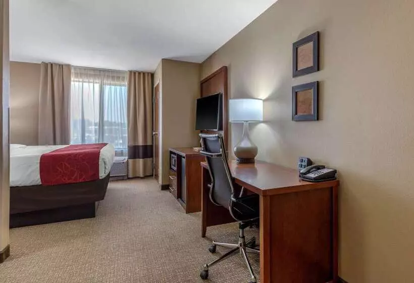 酒店 Comfort Suites Pelham Hoover I 65