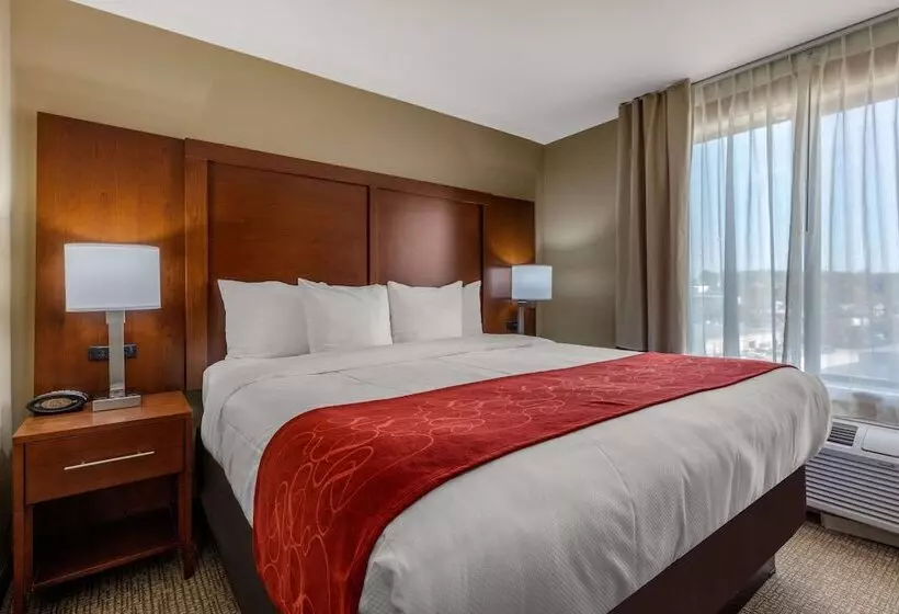 酒店 Comfort Suites Pelham Hoover I 65