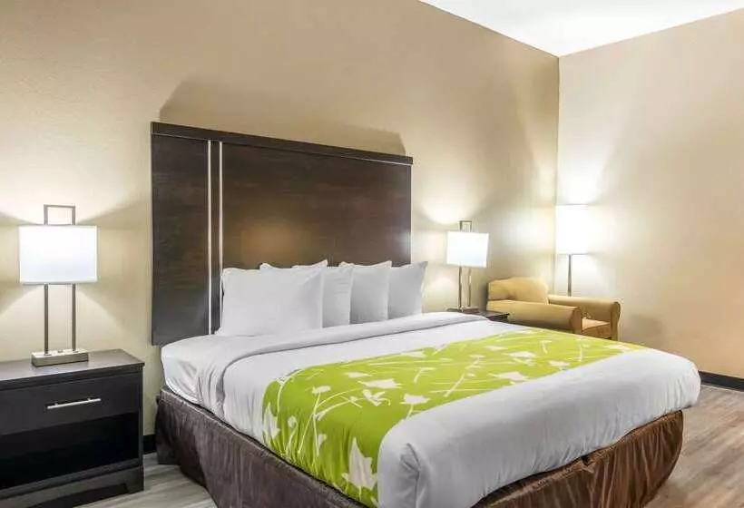 酒店 Americas Best Value Inn Opelika