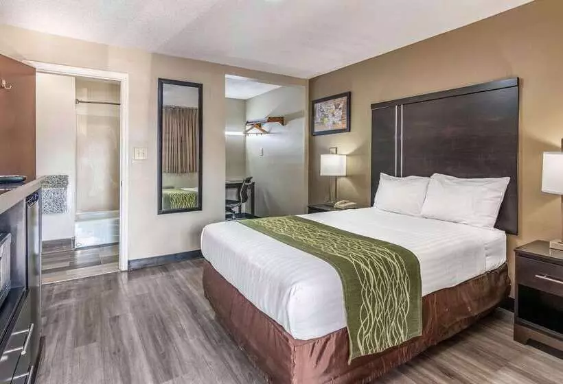 酒店 Americas Best Value Inn Opelika