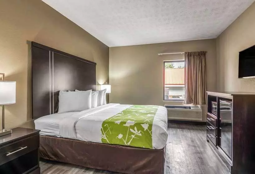 酒店 Americas Best Value Inn Opelika