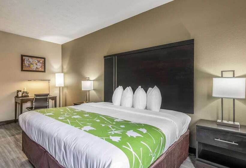 فندق Americas Best Value Inn Opelika