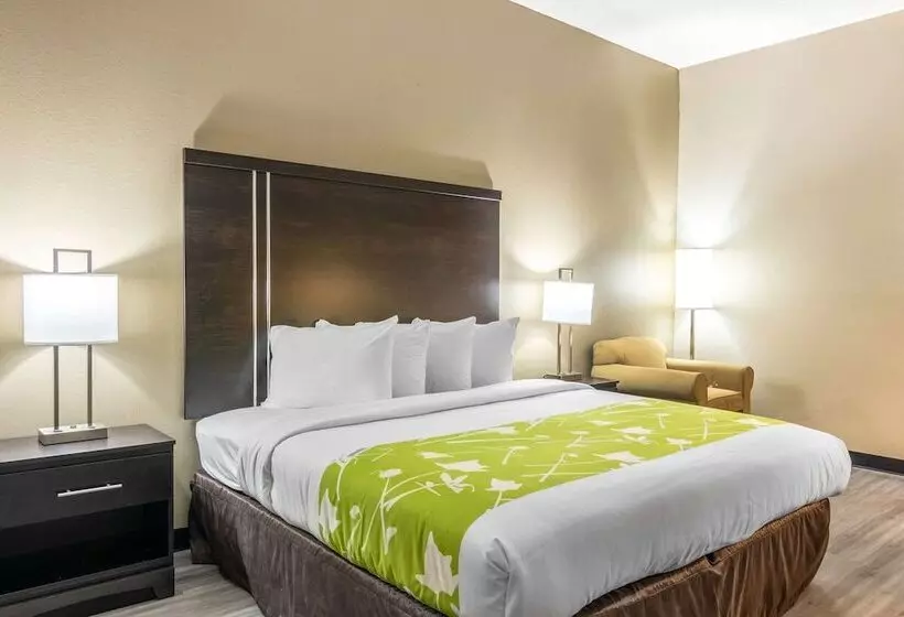 酒店 Americas Best Value Inn Opelika