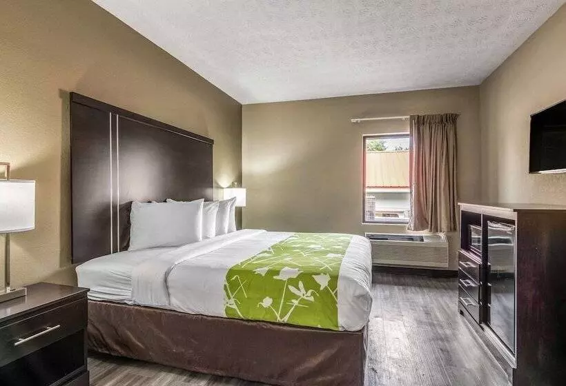 酒店 Americas Best Value Inn Opelika