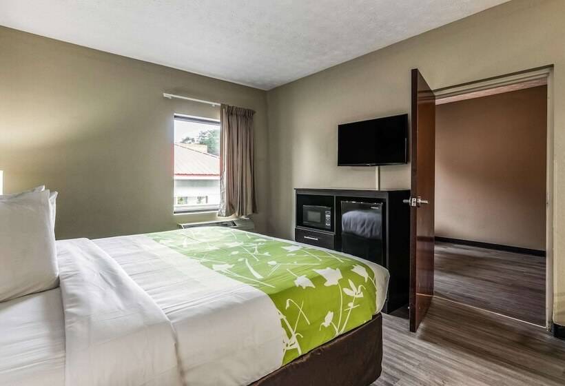 فندق Americas Best Value Inn Opelika
