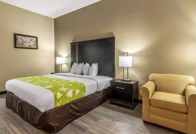 酒店 Americas Best Value Inn Opelika