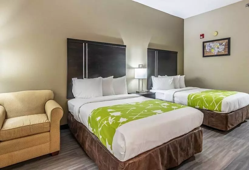酒店 Americas Best Value Inn Opelika