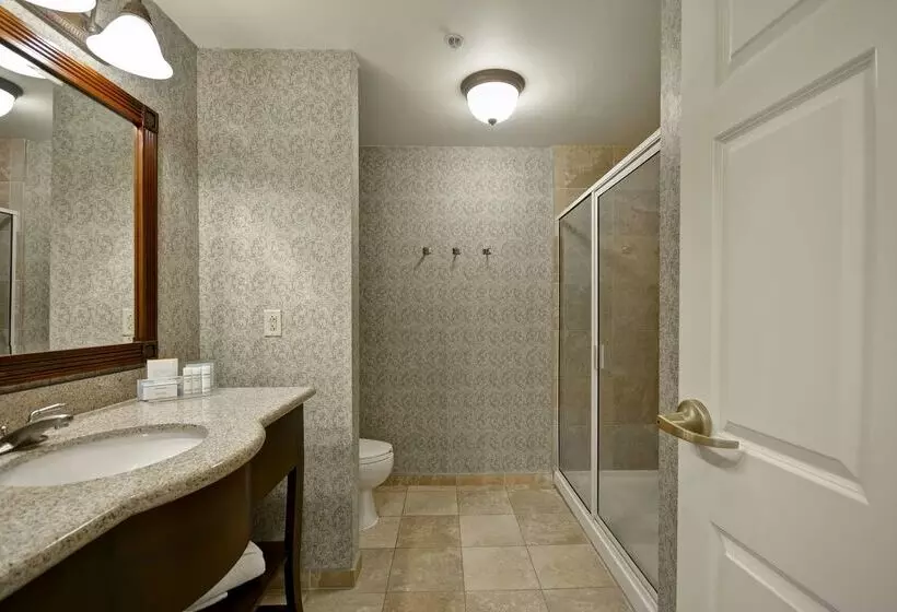 בית מלון כפרי Hampton Inn & Suites Savannah Historic District