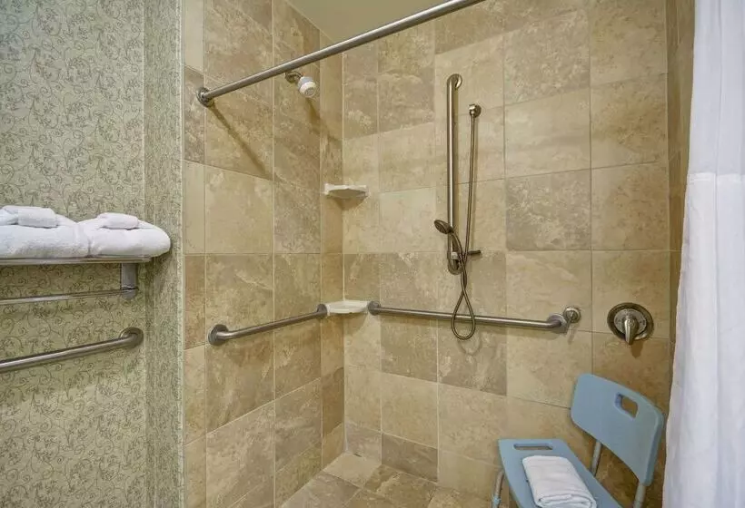 בית מלון כפרי Hampton Inn & Suites Savannah Historic District