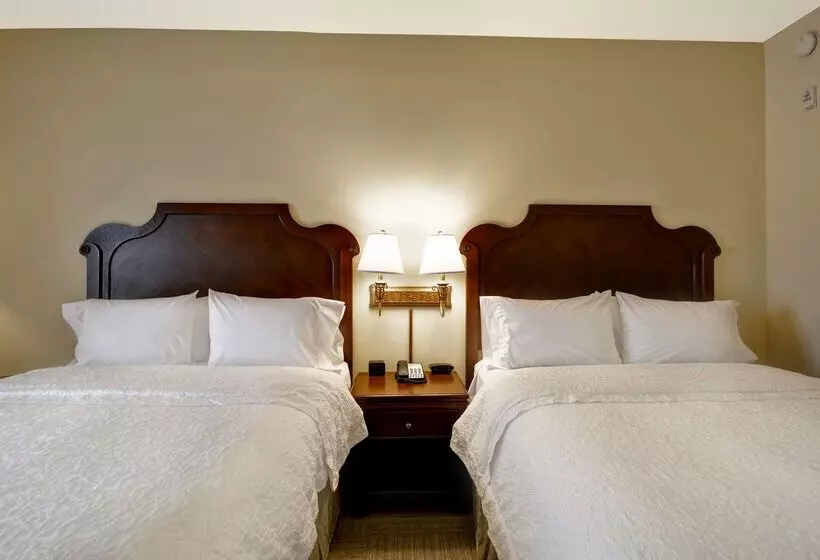 בית מלון כפרי Hampton Inn & Suites Savannah Historic District
