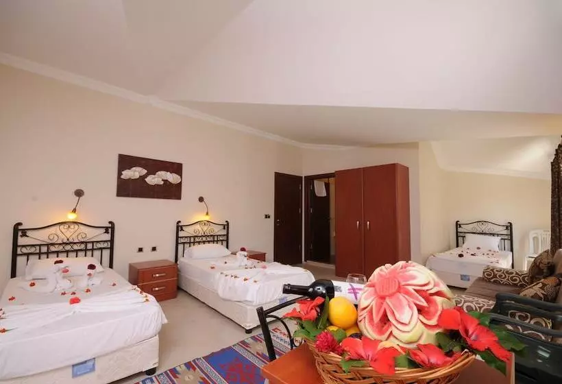 Отель Holiday Calbis