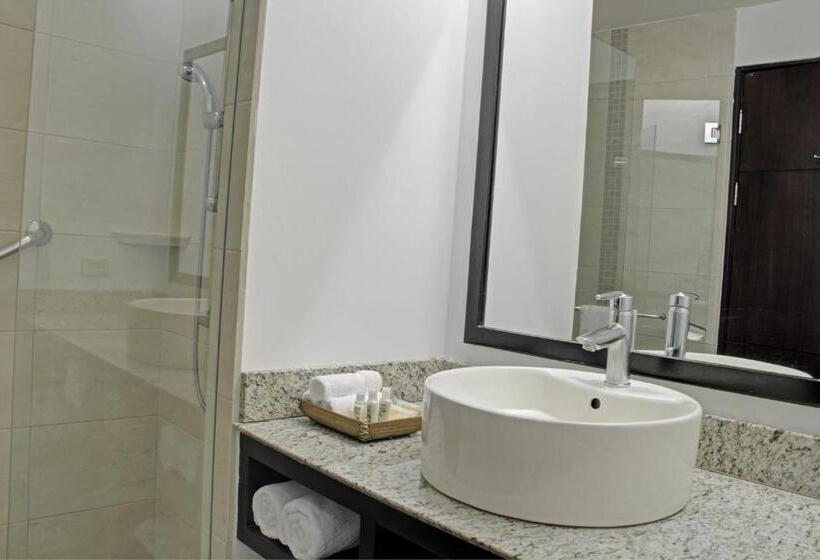 ホテル Holiday Inn Express San Jose Forum Costa Rica, An Ihg