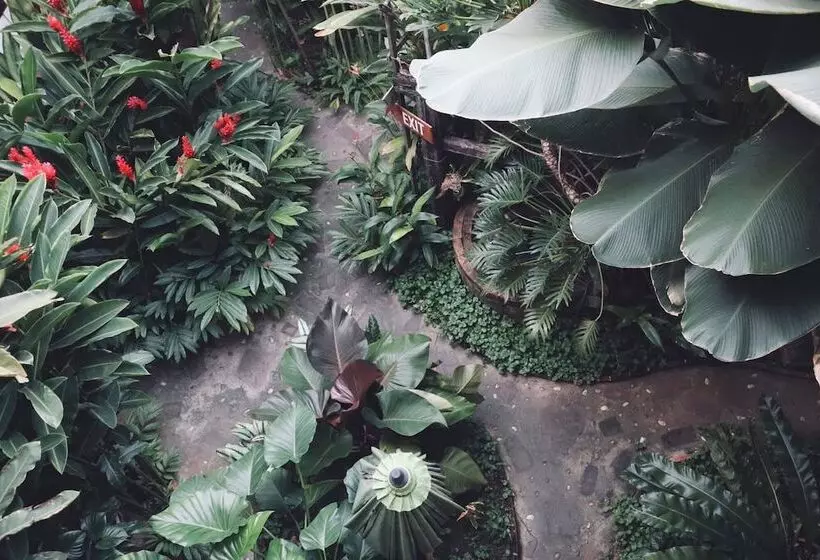 酒店 Shewe Wana Boutique