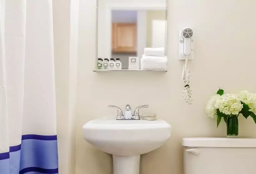 호텔 Winthrop Beach Inn And Suites Boston Logan Airport  Adults Only