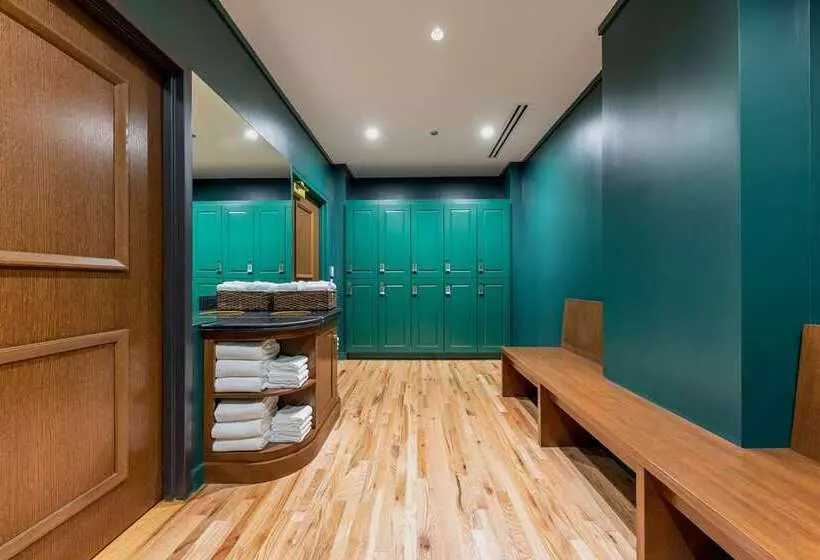 هتل Canopy By Hilton Chicago Central Loop