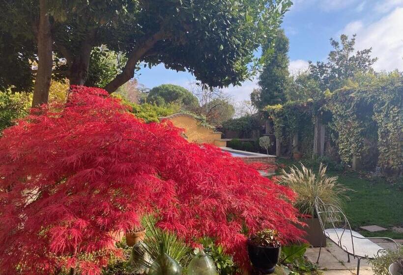 بنسيون Le Rez De Jardin Albi