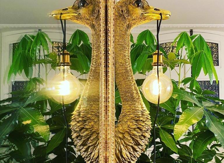 بنسيون Le Rez De Jardin Albi