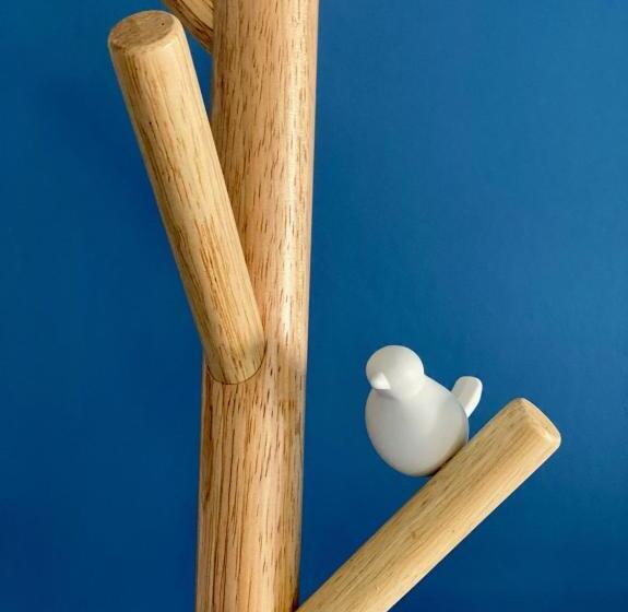 بنسيون Le Rez De Jardin Albi