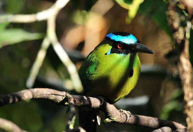 ホテル Turismo Rural Palermo