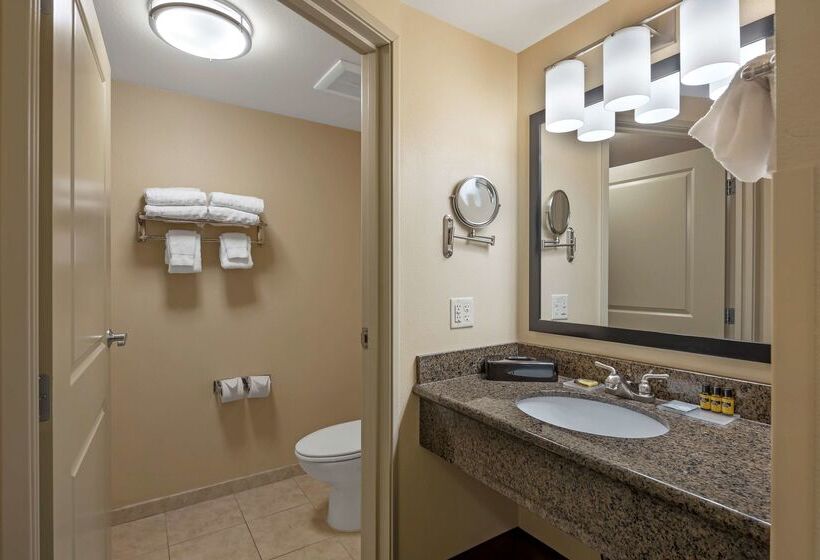 Otel Best Western Plus Chena River Lodge