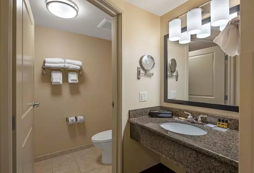 酒店 Best Western Plus Chena River Lodge