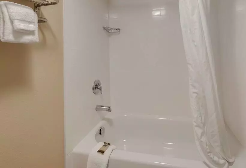 酒店 Best Western Plus Chena River Lodge