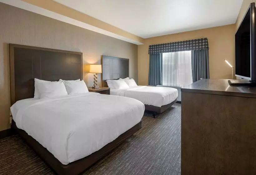 酒店 Best Western Plus Chena River Lodge