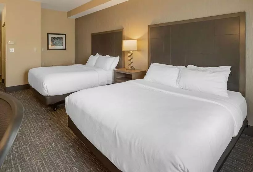 酒店 Best Western Plus Chena River Lodge