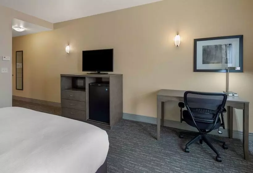 酒店 Best Western Plus Chena River Lodge