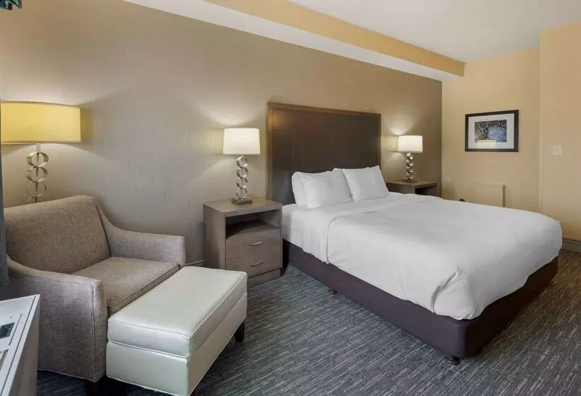 酒店 Best Western Plus Chena River Lodge